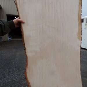 Maple Slab for Table 114″ x 27″+