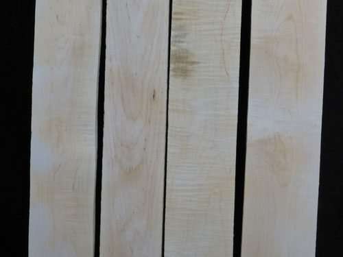 Eastern Red Curly Maple – Pack 101
