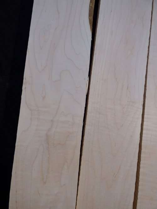 Eastern Red Curly Maple – Pack 101