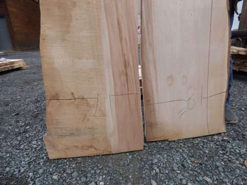 Maple Slabs Set for River Table 108″