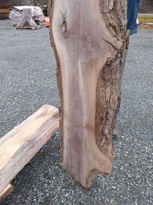 Thick Walnut Slab for Mantle 112″ x 13″