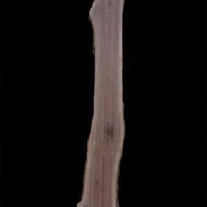 Thick Walnut Slab for Mantle 112″ x 13″