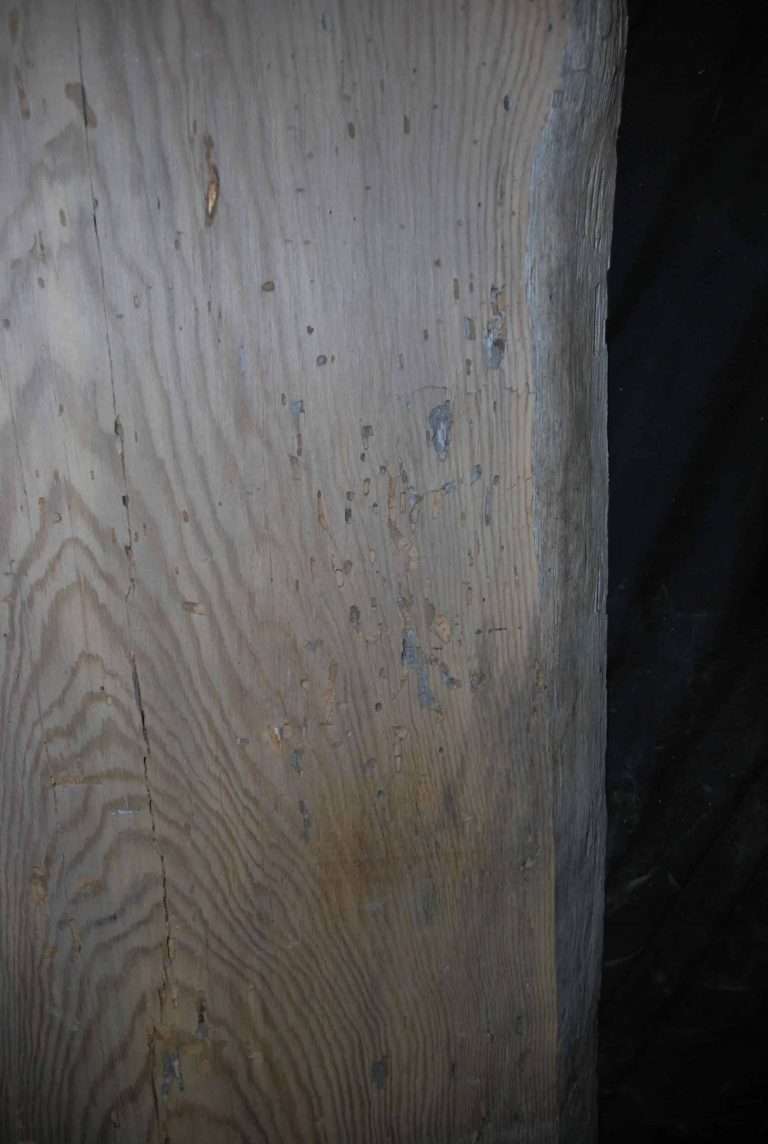 pine wood slab live edge