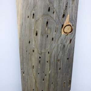 Blued Pine Lumber Pack -107