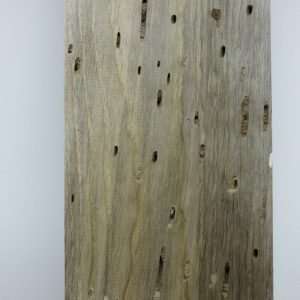 Blued Pine Lumber Pack -107