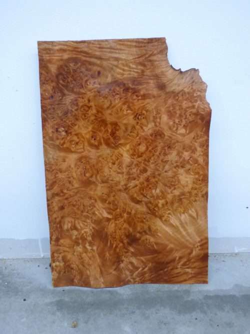 Maple Burl Wood Veneer Sheets